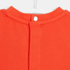 Lot de 2 bodys bébé