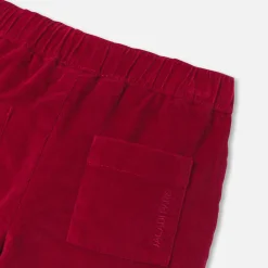 Pantalon bébé garçon en velours - pourpre