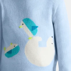 Pull bébé garçon Intarsia fantaisie - nuage