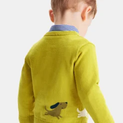 Pull bébé garçon Intarsia fantaisie - cumin