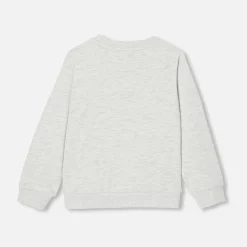 Sweat enfant garçon en molleton - beige chine